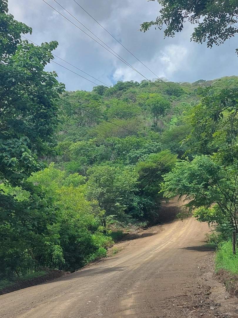 P6875-478be9ad4127ab4bed2f1d5f6b220b8c