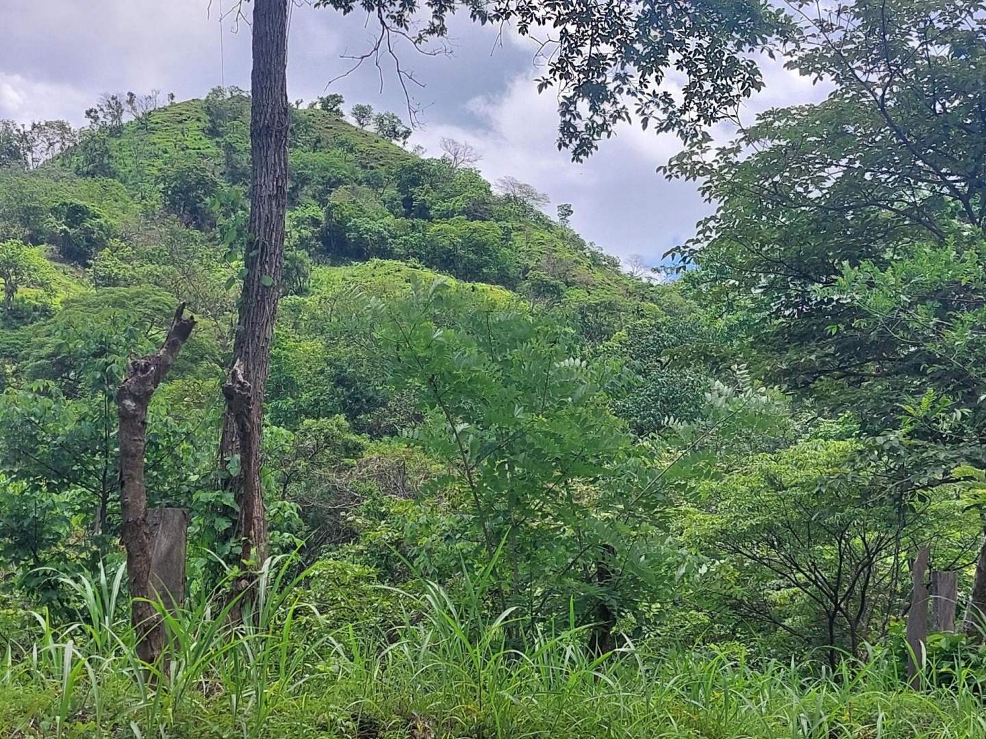 P6875-5da310d594ce798cd3daccac1557e5c5