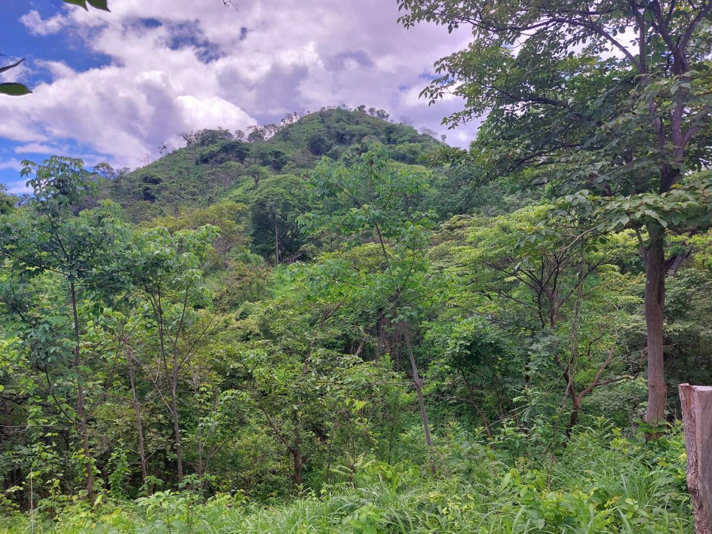 P6875-d9637a143b91f321975f571c71674f14