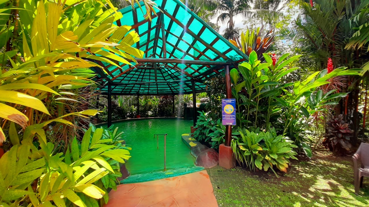 P7310-2d94a8f2d78967780ddcba478779e5a6