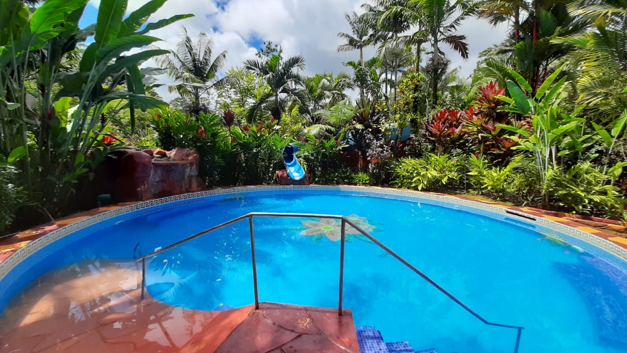 P7310-333adb73c7a885ed0cb1dcd1074ba58b