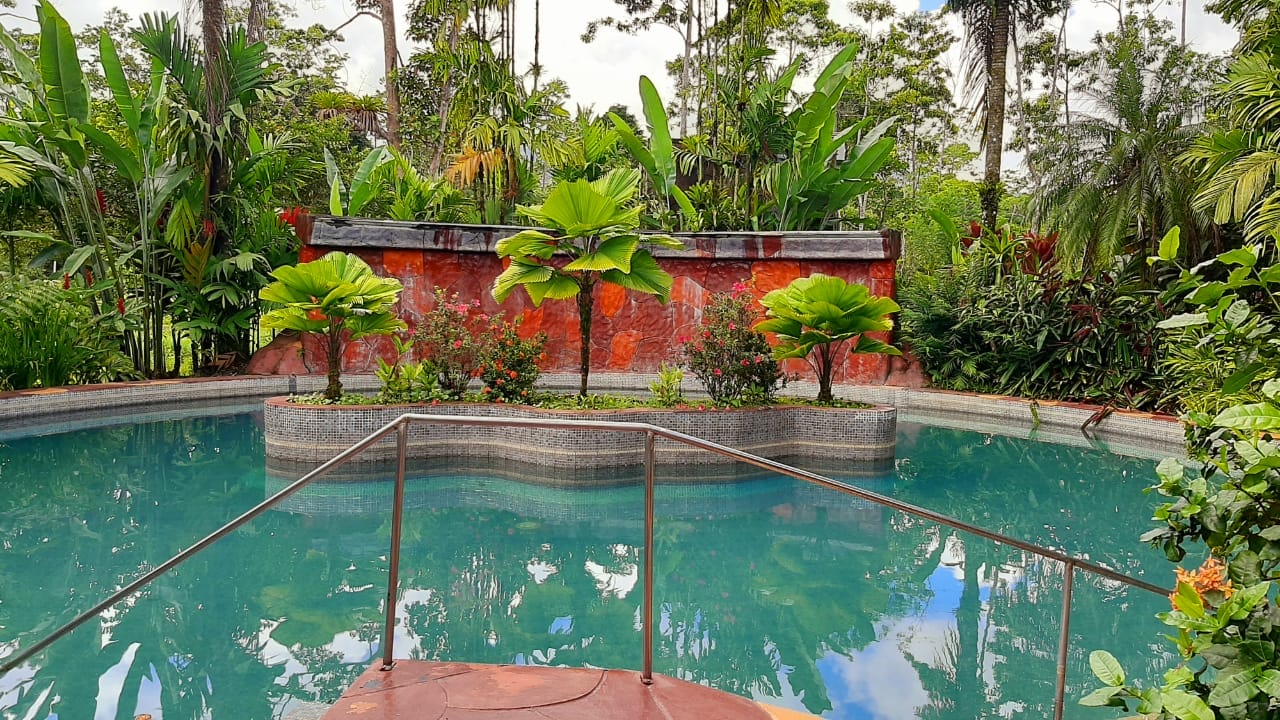 P7310-55604594de728f41a3876639c4125125