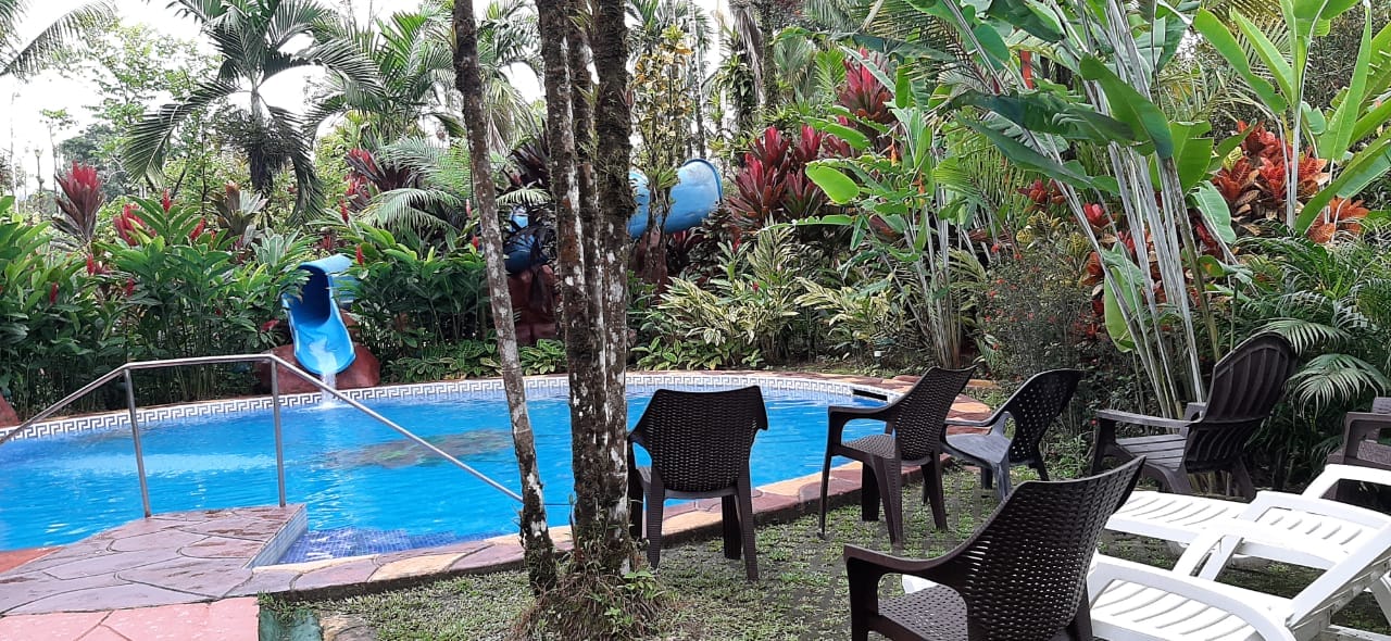 P7310-5e9c529e55898b93b3d48cea6c6404a2