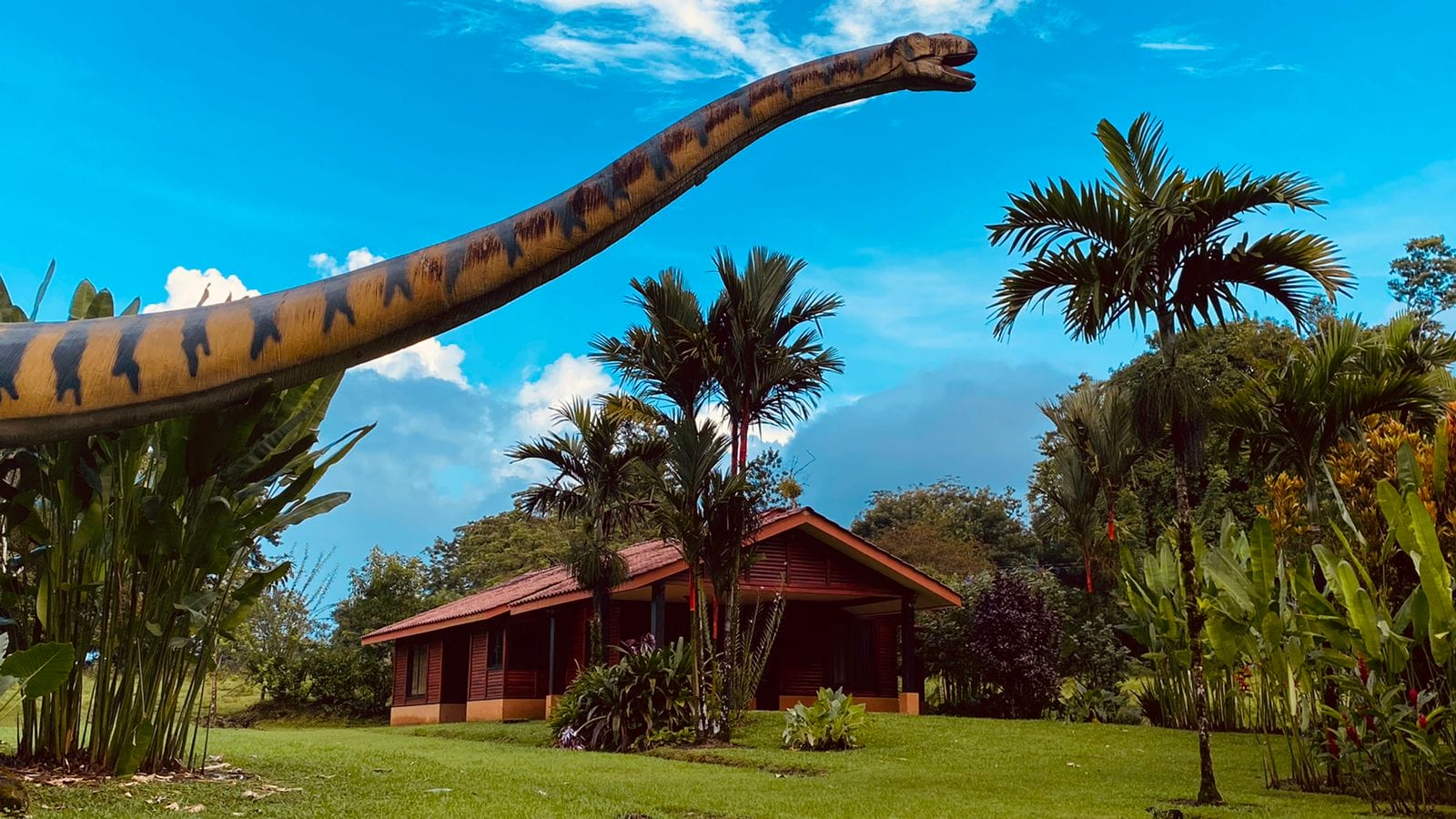 P7310-6f5822f2d68d736ac42a38f7b21ccb5a