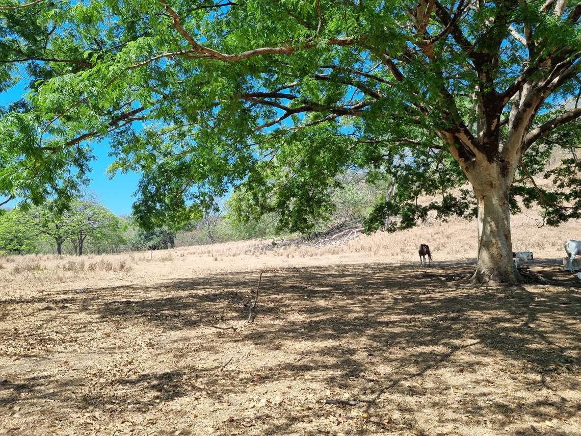 finca foto crystelle sanchez