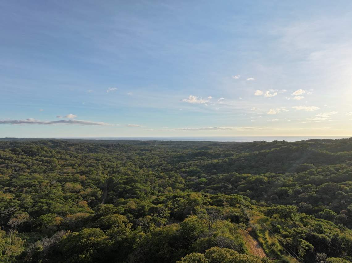 SUMMER COAST REALTY, FLAMINGO MARINA, PLAYA FLAMINGO, LINDSEY CANTILLO, AVELLANAS, HACIENDA PINILLA, TAMARINDO, 1