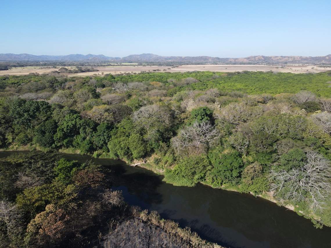 SUMMER COAST REALTY, FLAMINGO MARINA, PLAYA FLAMINGO, LINDSEY CANTILLO, AVELLANAS, HACIENDA PINILLA, TAMARINDO, 5