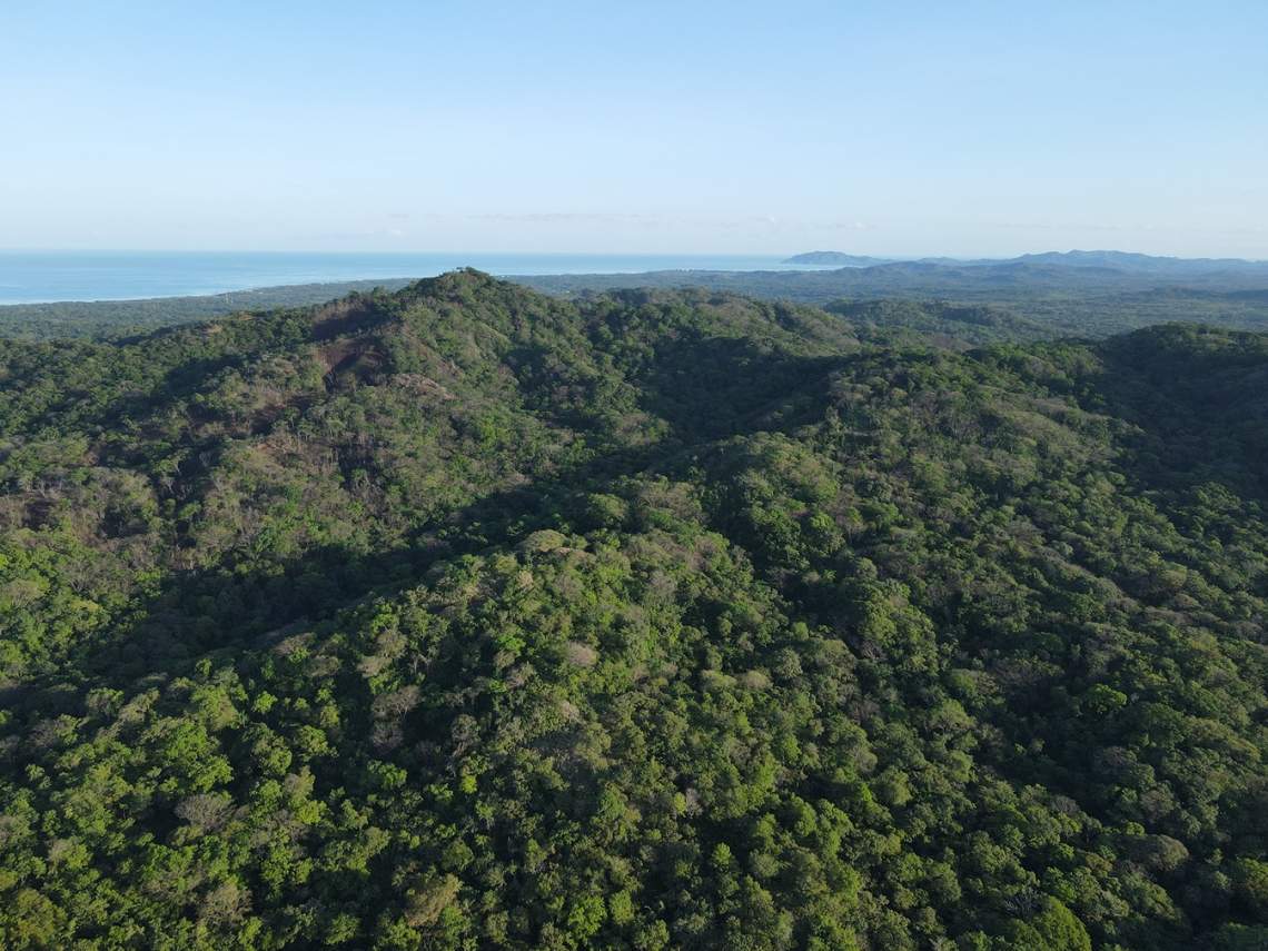 SUMMER COAST REALTY, FLAMINGO MARINA, PLAYA FLAMINGO, LINDSEY CANTILLO, RESERVA CONCHAL, HACIENDA PINILLA, TAMARINDO, 5