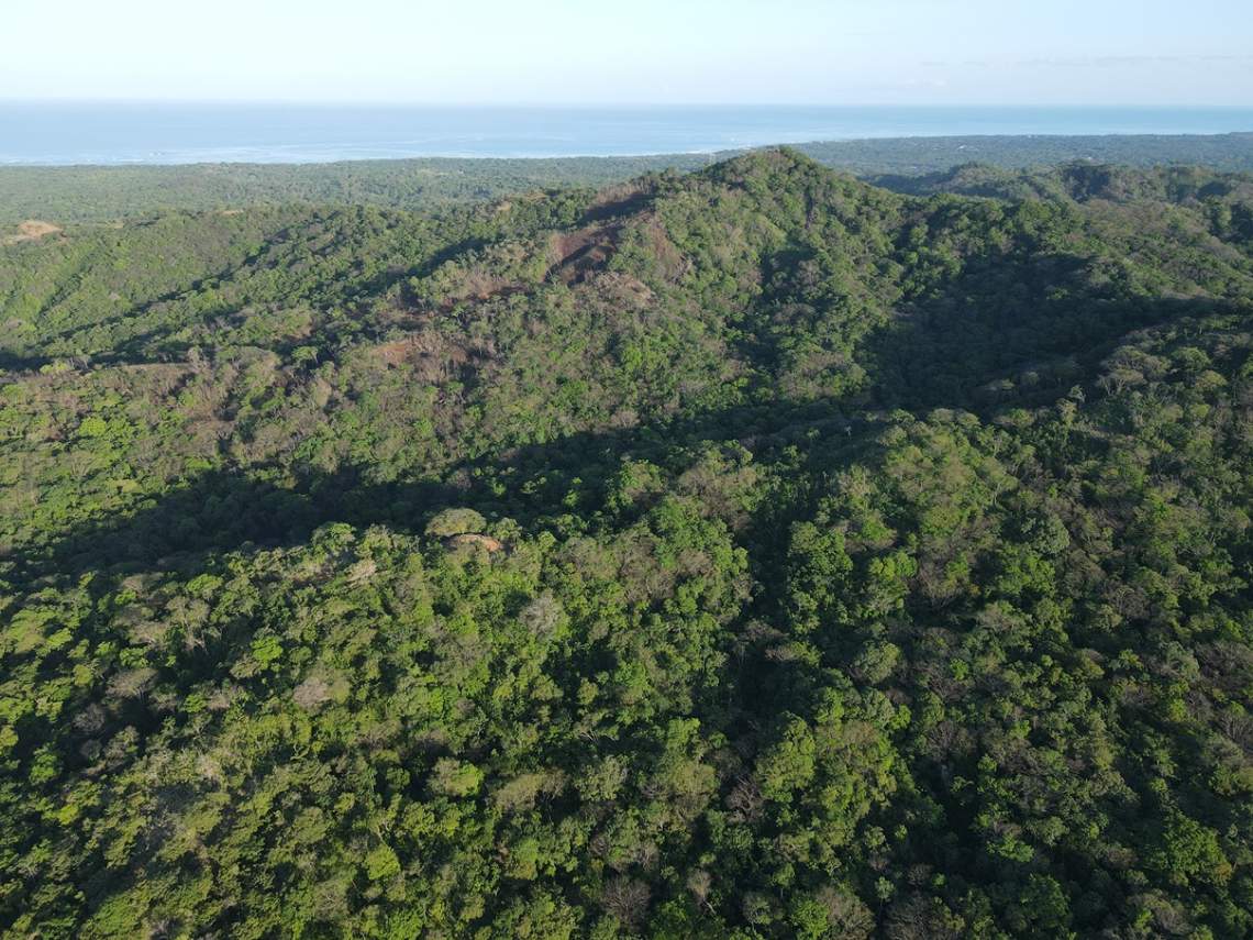 SUMMER COAST REALTY, FLAMINGO MARINA, PLAYA FLAMINGO, LINDSEY CANTILLO, RESERVA CONCHAL, HACIENDA PINILLA, TAMARINDO, 7