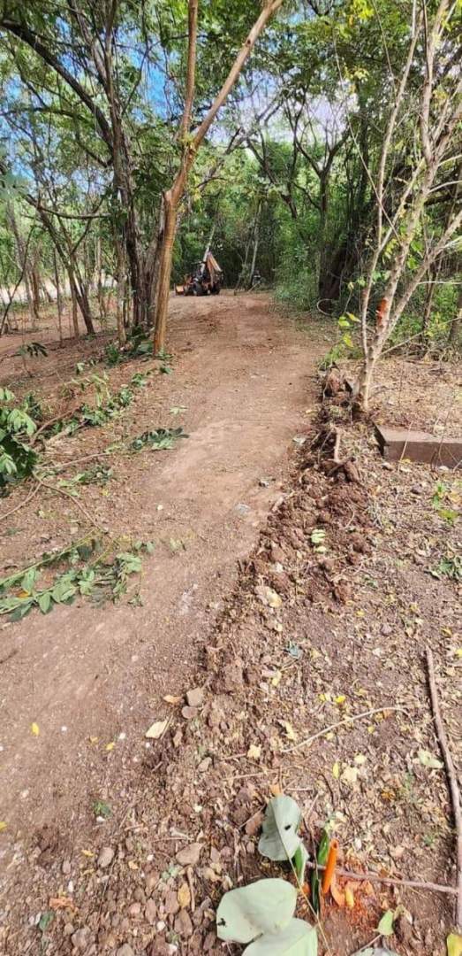 SUMMER COAST REALTY, FLAMINGO MARINA, PLAYA FLAMINGO, LINDSEY CANTILLO, RESERVA CONCHAL, HACIENDA PINILLA, TAMARINDO, LAS CATALINAS, POTRERO, 1