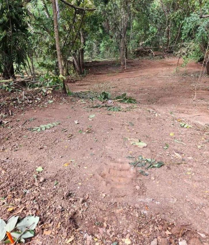 SUMMER COAST REALTY, FLAMINGO MARINA, PLAYA FLAMINGO, LINDSEY CANTILLO, RESERVA CONCHAL, HACIENDA PINILLA, TAMARINDO, LAS CATALINAS, POTRERO, 2