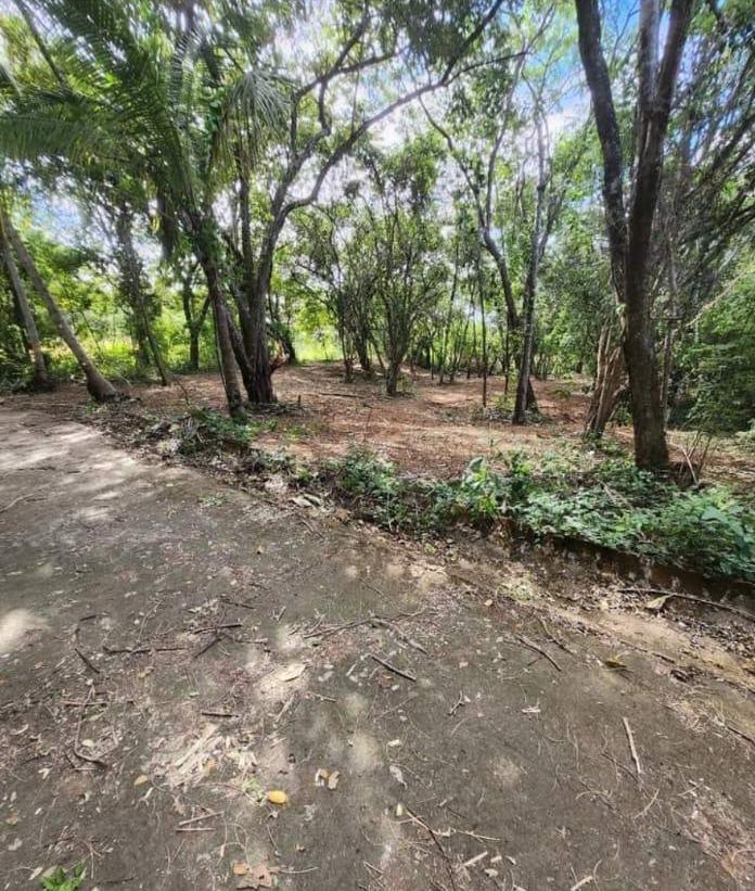 SUMMER COAST REALTY, FLAMINGO MARINA, PLAYA FLAMINGO, LINDSEY CANTILLO, RESERVA CONCHAL, HACIENDA PINILLA, TAMARINDO, LAS CATALINAS, POTRERO, 7