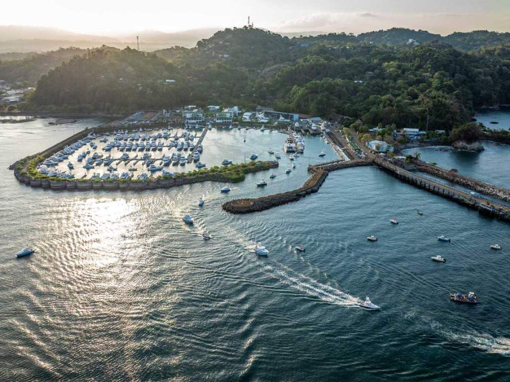 pez vela marina sportsfishing