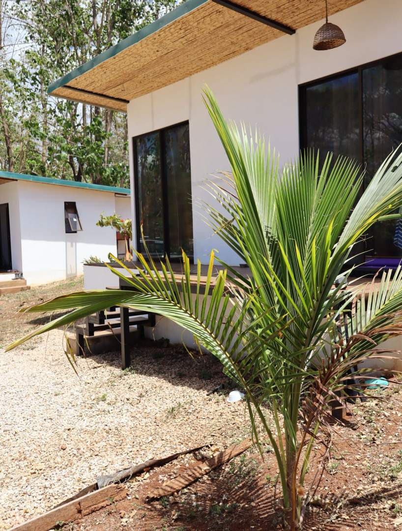 Surfpoint – Playa- Avellanas- Guanacaste2025-07-16 at 14.27.17 (1)