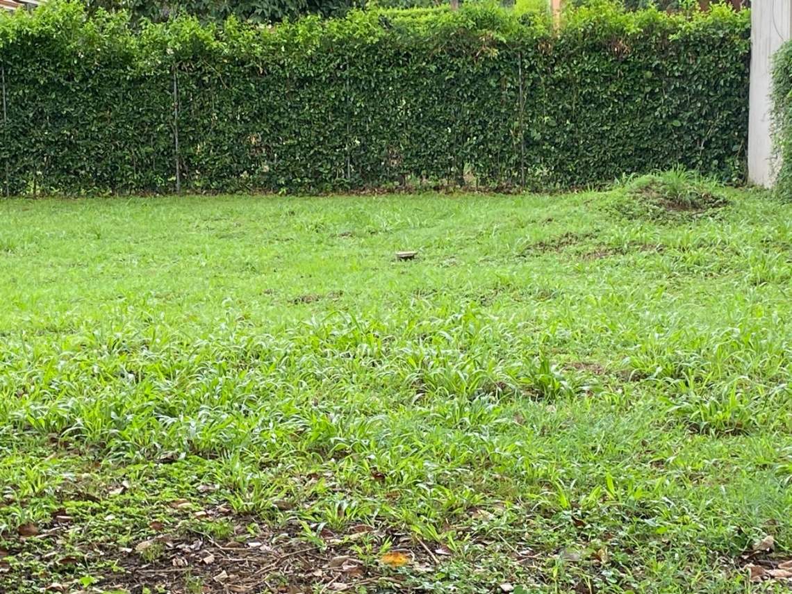 WhatsApp Image 2025-08-05 at 11.46.39 AM (1)