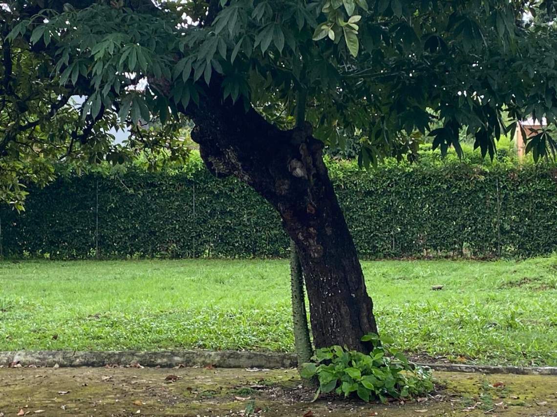 WhatsApp Image 2025-08-05 at 11.46.39 AM (2)