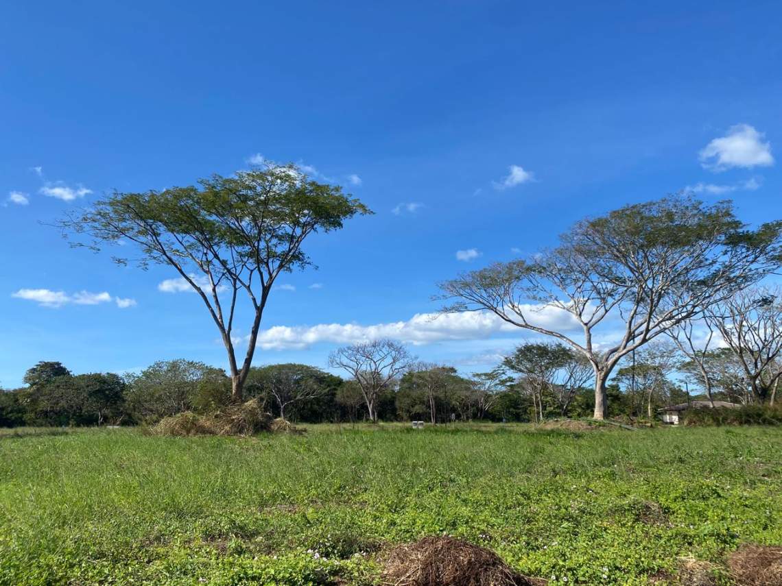 WhatsApp Image 2025-10-08 at 12.43.26 PM (2)